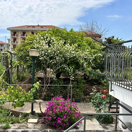 Viola's Charming House 펜션 *